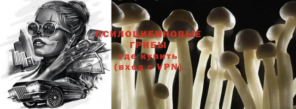 гашиш Богданович
