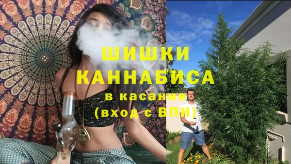дмт Богородицк