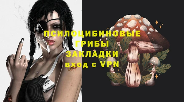 прущая мука Бородино