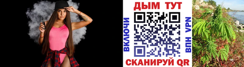 закладка  Нерчинск  Бошки Шишки ГИДРОПОН 